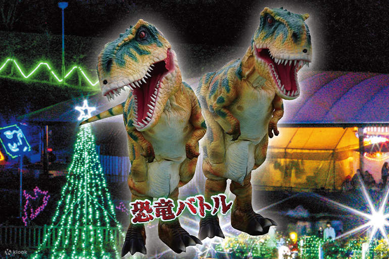 Okinawa Zoo & Museum Christmas Fantasy Ticket